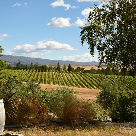 Grey Ridge Vineyard Experience Bed & Breakfast Alexandra Bagian luar foto