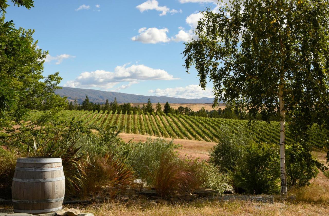 Grey Ridge Vineyard Experience Bed & Breakfast Alexandra Bagian luar foto