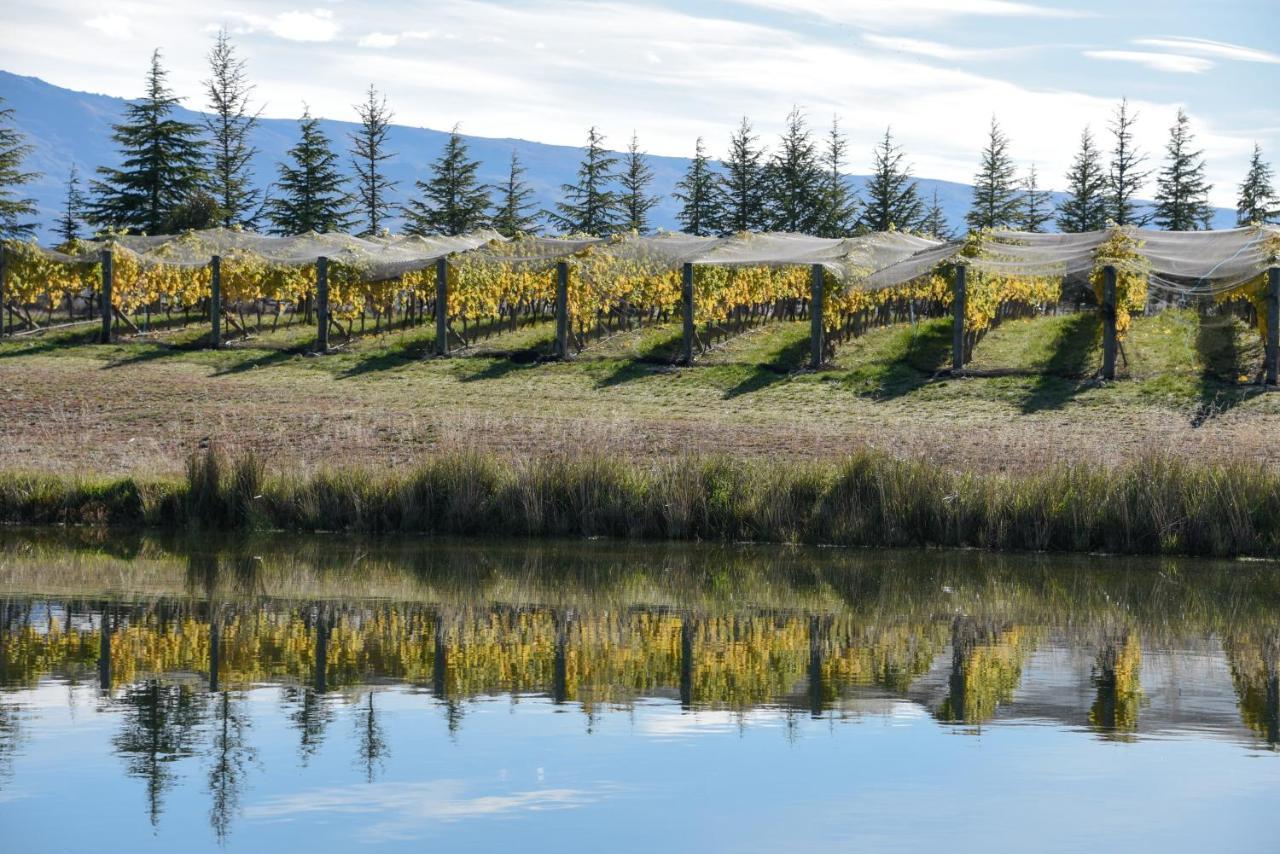 Grey Ridge Vineyard Experience Bed & Breakfast Alexandra Bagian luar foto