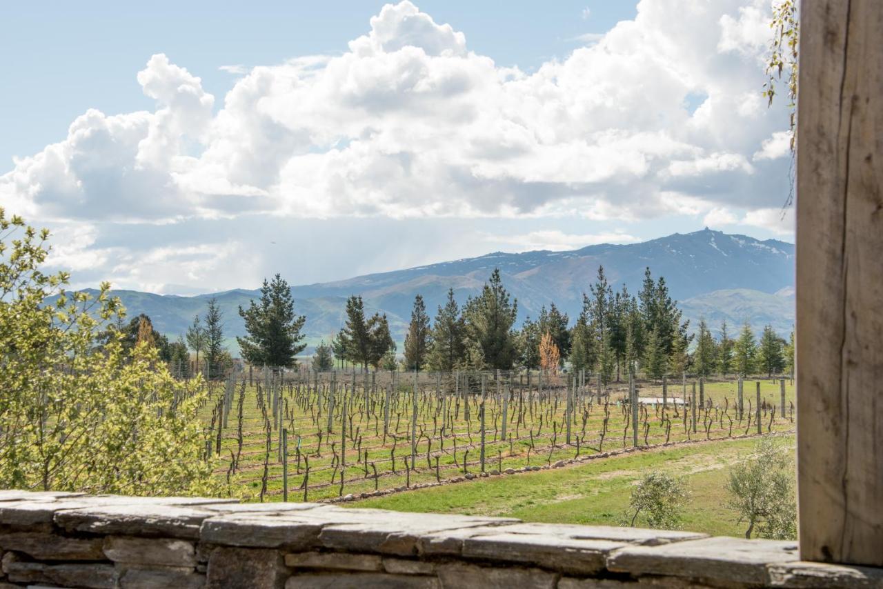 Grey Ridge Vineyard Experience Bed & Breakfast Alexandra Bagian luar foto