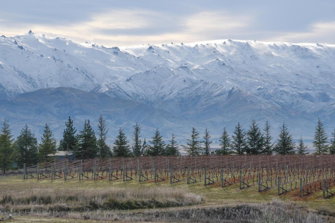 Grey Ridge Vineyard Experience Bed & Breakfast Alexandra Bagian luar foto