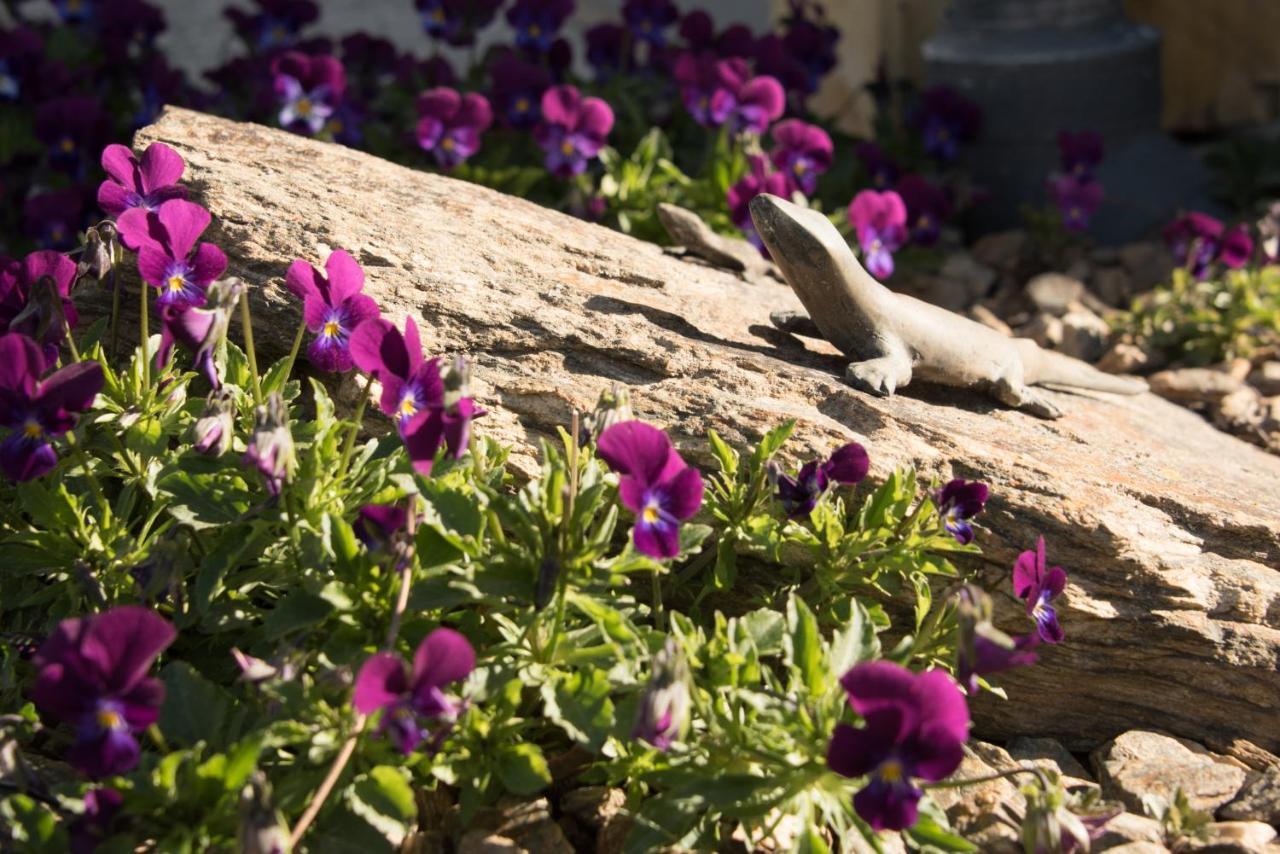 Grey Ridge Vineyard Experience Bed & Breakfast Alexandra Bagian luar foto